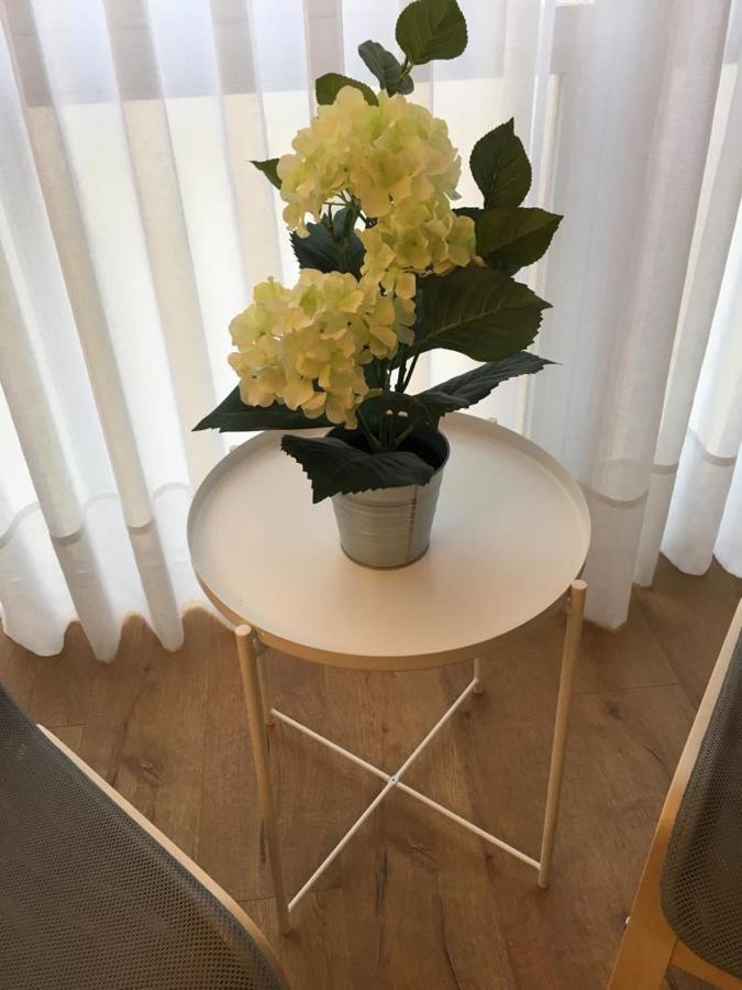 Piso Loureiro Crespo Apartment Понтеведра Екстериор снимка